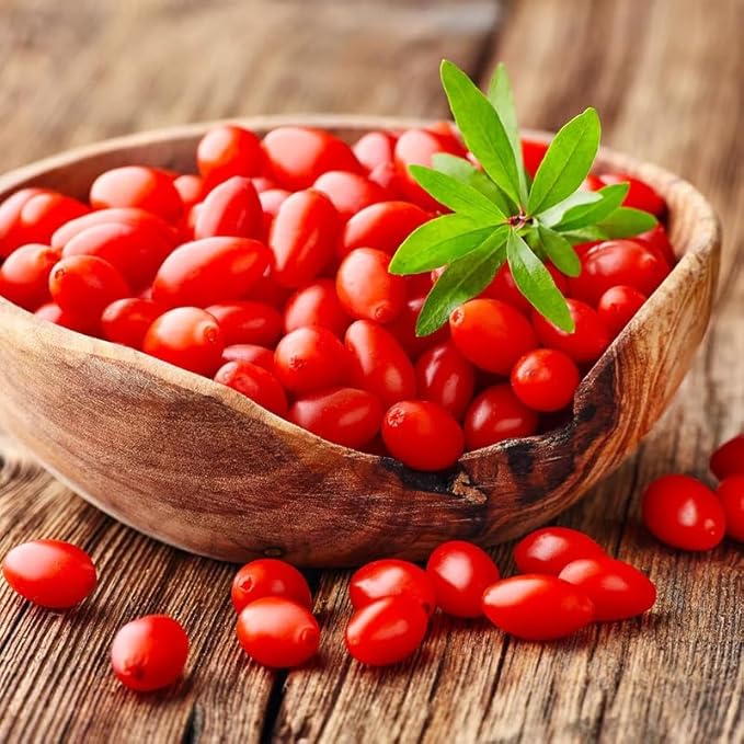 3 Red Goji Berry Trees Live Plant, Goji Berry Plant Live for Growing from 6-9 Inches Tall, Goji Berry Fruit Tree Plant Ready to Grow