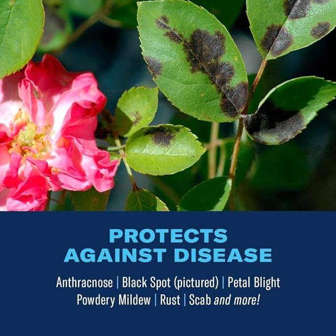 BioAdvanced 3-in-1 Insect and Mite Plant Bug Spray, Pest Control Ready-to-Spray 32 oz, Disease Control