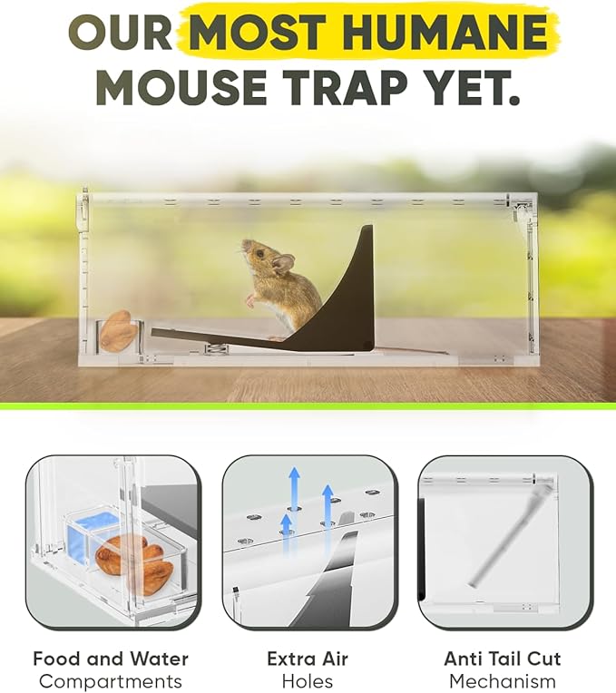 Motel Mouse Humane Mouse Traps No Kill Live Catch and Release 2 Pack - Reusable, Easy to Use & Clean, No Touch Release, Sensitive Includes Cleaning Brush, Instruction Manual & Video - Mousetrap Indoor