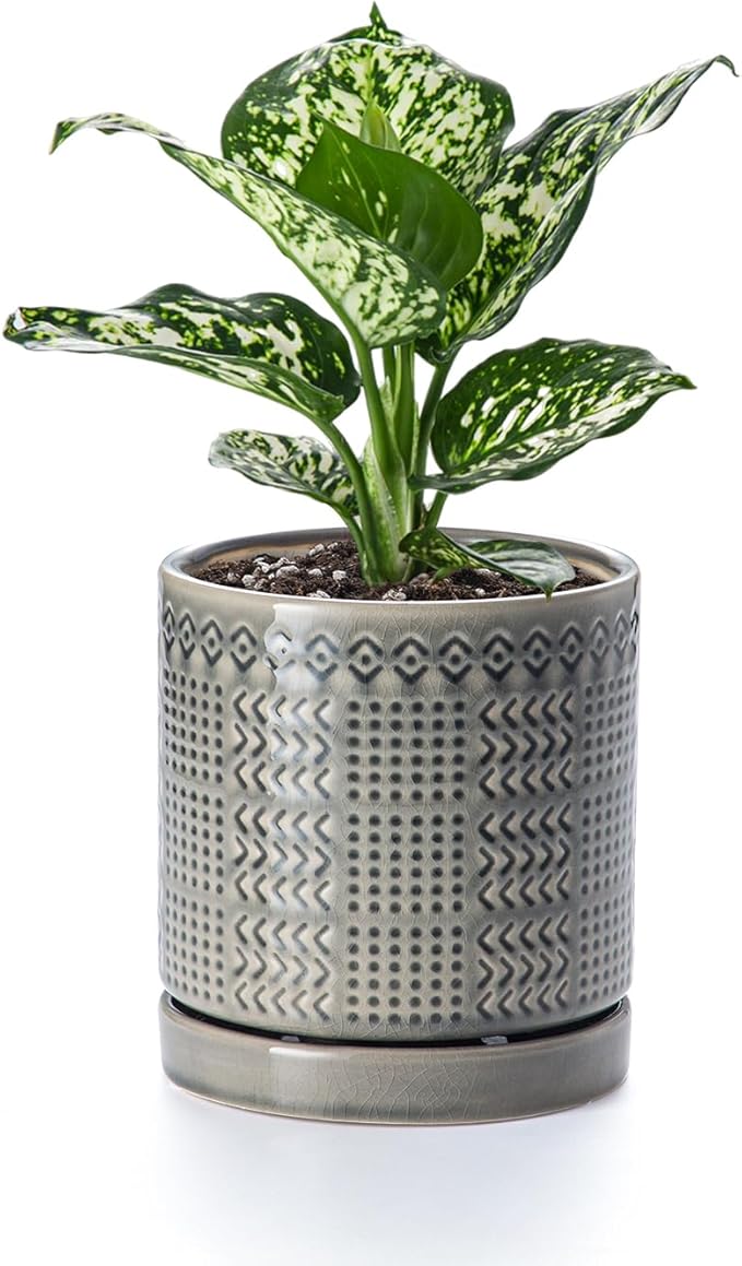 POITONRU Indoor-Outdoor Ceramic Plant Pots: 6 Inch Flower Pots with Drainage Hole & Saucer - Decorative Ceramic Pots for Plants Herbs Succulents - Home Garden Patio Lawn Use