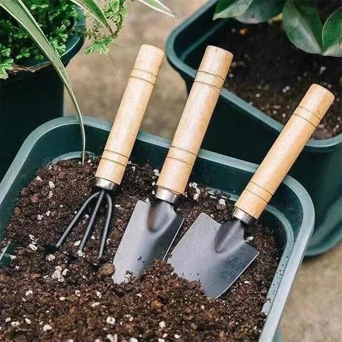 3 PCS Mini Gardening Tool Set, Shovel, Spade, Rake Kit with Ergonomic Wooden Handles, Ideal for Planting, Weeding and Cultivating, Kid Gardening Plant Tool for Cactus Herbs Indoor Miniature Plants
