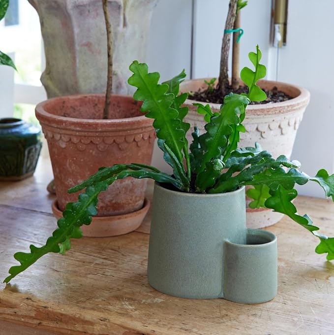 Modern Sprout Ember Earth Candle Planter - 2 in 1 Scented Soy Candle w/Bottom Feeding System - 8 Oz with 50 hr Burn time in Glaze Ceramic Vessel Ideal for Any Indoor Plants - Photosynthesis