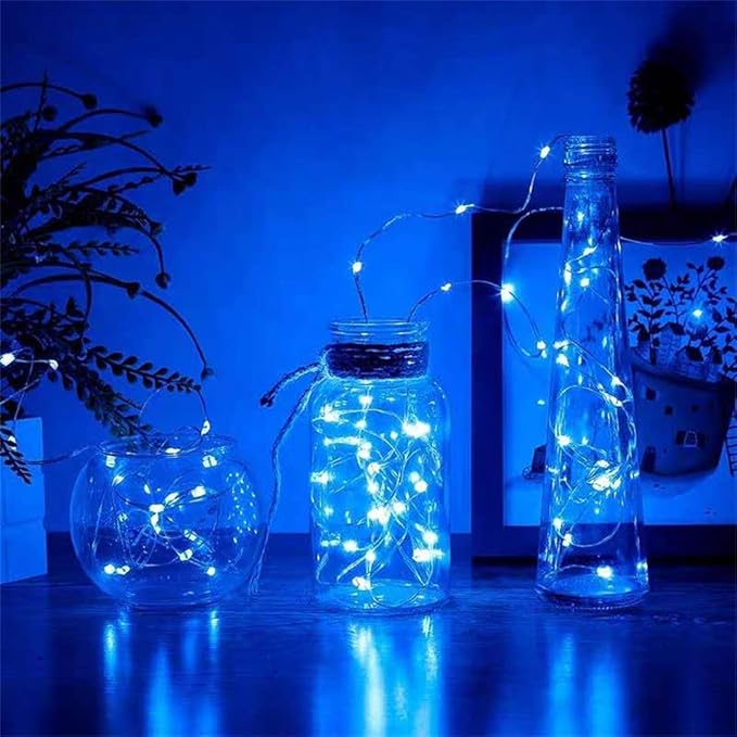 2 Pack Battery Operated Mini Led String Lights,Indoor Fairy Lights with Timer 6 Hours on/18 Hours Off for Halloween/Christmas Lighting Decorations,30 Count LEDs,10 Feet Silver Wire(Blue Color)