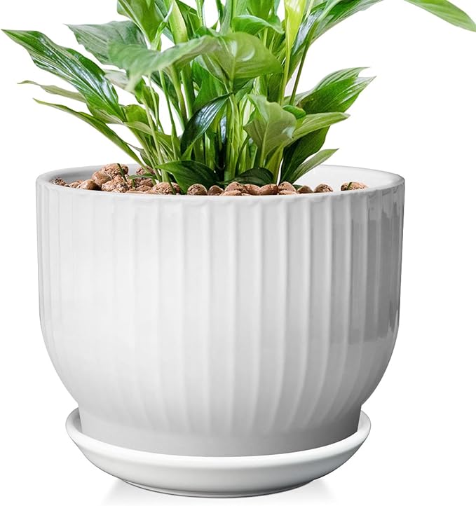 8 Inch Plant Pot,Ceramic Planter with Drainage and Saucer,Ceramic Pots for Plants,Indoor Plant pots,Ceramic Flower pots(Pure White, Plants NOT Included)