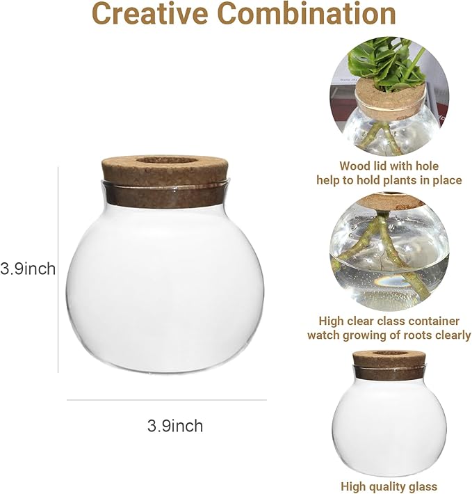 Plant Propagation Station - Glass Terrarium Vase Set of 4 for Hydroponic Plants, Desktop Glass Planter,Centerpiece Office,Door Home Garden Decor,Sizes of About 2 Plants,Office Decor Gift Idea Cu