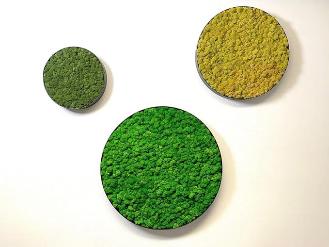 prefleur Preserved Reindeer Moss Natural Green DIY Kit Gardenning Art Wall Decor Florist Decor Easter Table Decor Wedding