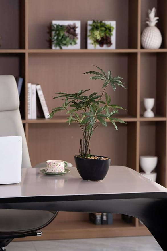 Avoeco Artificial False Aralia-21.2" Plant with Pebbles & Ceramic Pot – Realistic Faux Money Tree – Artificial Bonsai Tree for Home, Office, Boho, Modern,Minimalist & Japanese Decor (Black)
