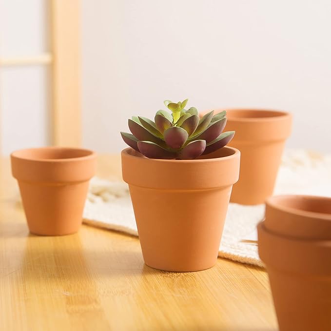Fcacti 36 PCS Small Mini Clay Pots with Drainage Holes for Plants,2.5inch Terra Cotta Pot Clay Ceramic Pottery Planter,Succulent Nursery Pot/Cactus Plant Pot,for Indoor/Outdoor Plants,Crafts