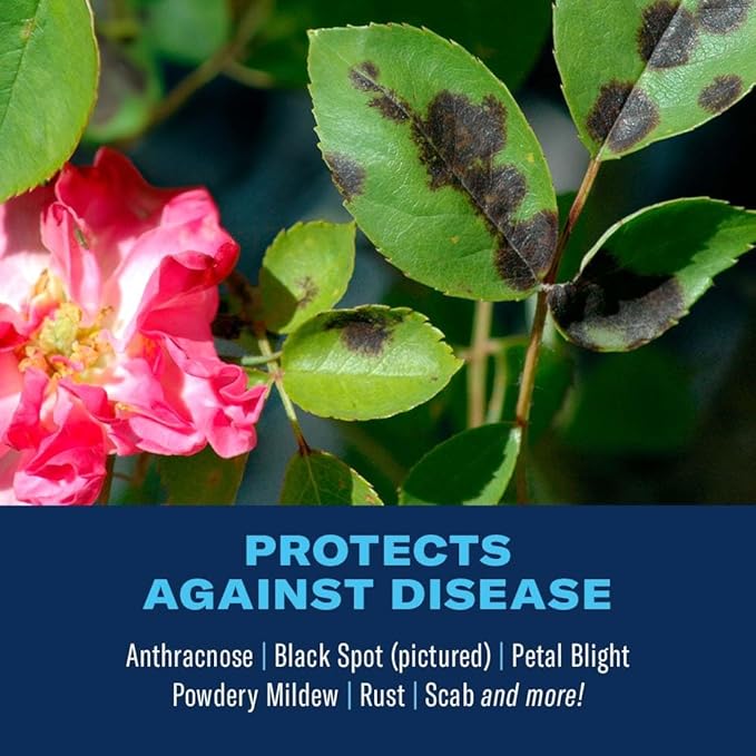 BioAdvanced 3-In-1 Insect, Disease and Mite Control, Fungicide, Ready-to-Spray, 32 oz (Packaging may vary)