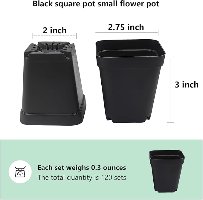 RooTrimmer Square Nursery Pots 3" 120Pcs Deep Succulent Plastic Pots Small Flower Planter Seeds Starter Germination Pots with Drainage (Black,2.7Inches,120Pcs)