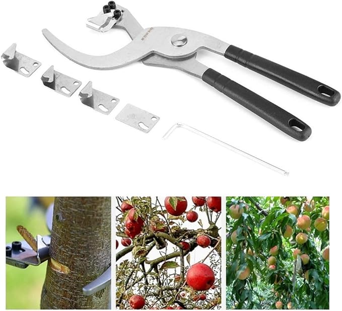 Fdit Tree Branches Cutter Graft Fruit Tree Tool Stainless Steel Tools Loop Cutter Shears for Scissor Bark Cutter Loop Pliers Accessories Scissors