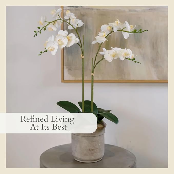 CG Hunter Faux Phale White Orchid Plant, Premium Artificial Indoor Flower Display Stands 24”, Beautiful Sculptural Blooms That Lasts Forever, Grey Planter Pot Included