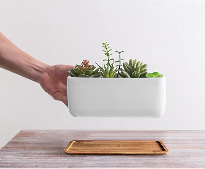 ARVINKEY White Ceramic Succulent Planters, Indoor and Outdoor Succulent Planters, Set of 2 Small Cactus Containers, Bonsai Pots, Flower Pots with Drainage Hole and Bamboo Bowl (No Plant)