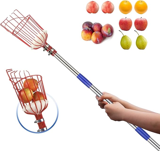 BsBsBest Fruit Picker Pole with Basket - 8 Foot Adjustable Height Fruit Picker Tool with Stainless Steel Fruit Picking Pole for Apple Cherry Berry Fit Orange Blueberry Mango Avocado Lemon Peach