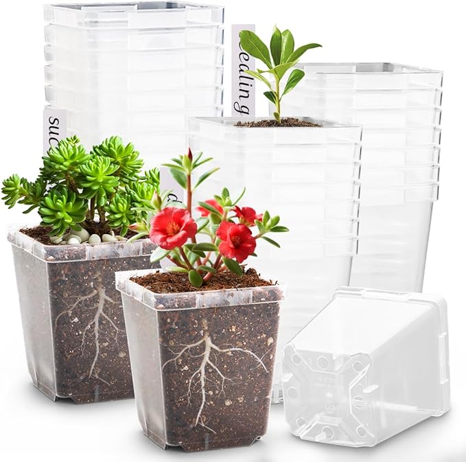 RooTrimmer 3.3 Inch Clear Nursery Pots with Drainage,90 Pack Square Seedling Pots with Plant Lables,Reusable Seed Starter Pots for Succulents Transplanting Herbs Flowers Tomato Windowsill Gardening