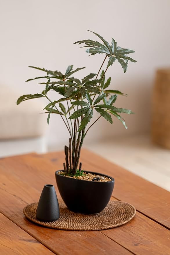 Avoeco Artificial False Aralia-21.2" Plant with Pebbles & Ceramic Pot – Realistic Faux Money Tree – Artificial Bonsai Tree for Home, Office, Boho, Modern,Minimalist & Japanese Decor (Black)