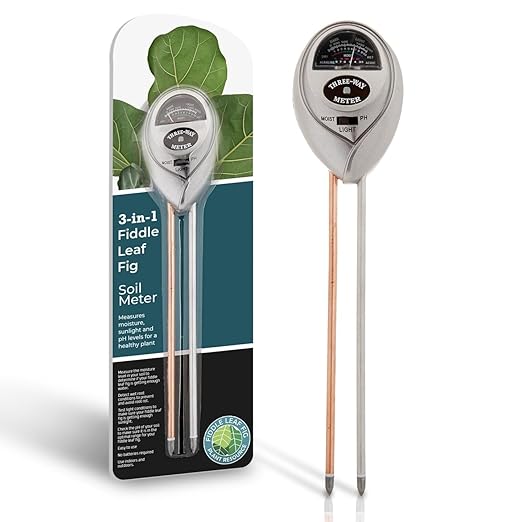 Fiddle Leaf Fig Essentials Bundle