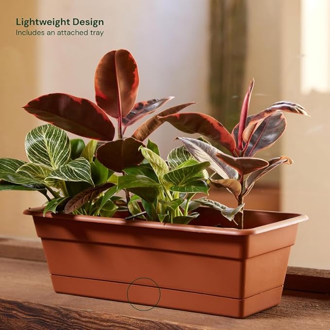 Bloem Dura Cotta 18" Terra Cotta Resin Rectangle Window Box Planter with Saucer Tray for Indoor and Outdoor Gardening