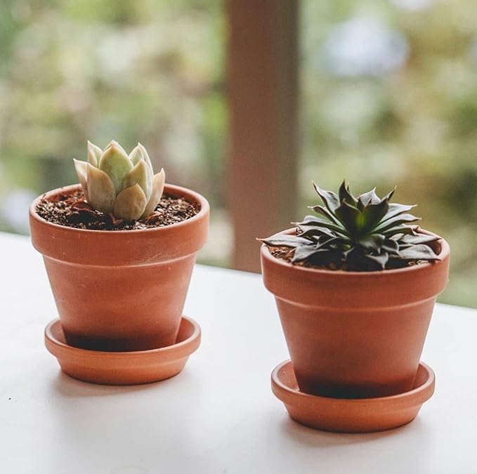 HERDUK 3 Inch Terracotta Starter Pots with Saucers – Clay Planting System for Seedlings, Cuttings & Succulents, Reliable Drainage for Healthy Roots, Ideal for Beginners & Small Spaces