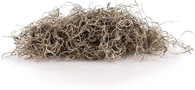 Gardenera Premium Natural Spanish Moss | Natural Preserved - Great Ground Cover - Filler for Potted Plants - 2 Quart Bag (GRD-SPANISH-MOSS-2QT)