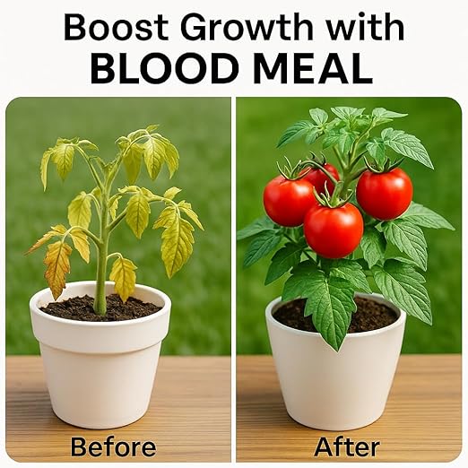𝐁𝐄𝐒𝐓𝐒𝐄𝐋𝐋𝐄𝐑 Organic Blood Meal Fertilizer by Gardenera - 12-0-0 NPK - All-Natural Plant Food Source of Nitrogen for Organic Gardening, Flowers, Vegetables, Trees & Shrubs [16 OZ]