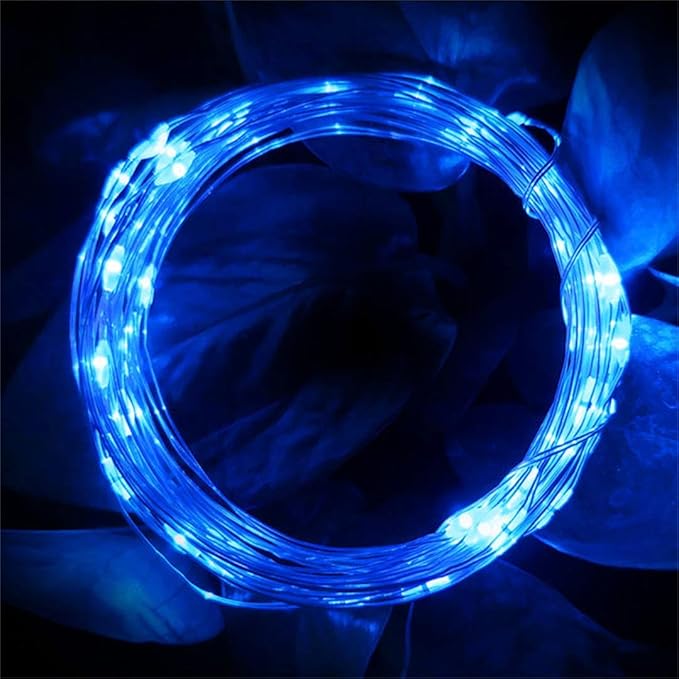 2 Pack Battery Operated Mini Led String Lights,Indoor Fairy Lights with Timer 6 Hours on/18 Hours Off for Halloween/Christmas Lighting Decorations,30 Count LEDs,10 Feet Silver Wire(Blue Color)