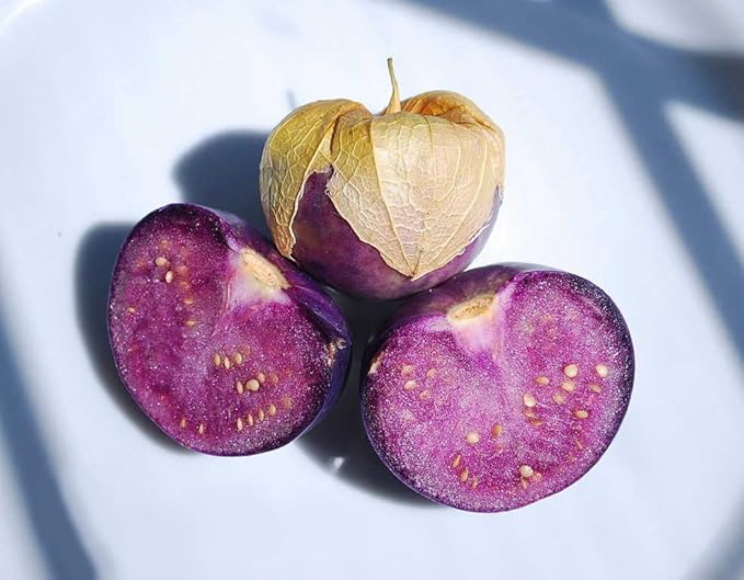 Seeds Purple Cape Gooseberry Goldenberry Groung Cherry Physalis Non GMO Vegetable for Planting