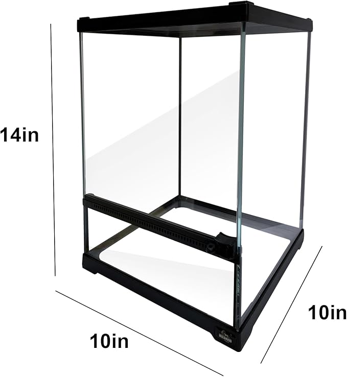 waazoorep Reptile Glass Terrarium Tank 10 * 10 * 14in, Full View with Front Opening Door,Amphibians Enclosure Habitat Cage for Crested Gecko,Spider,Tarantula,Lizard,Hermit Crab,Frog,Mantises,Insects