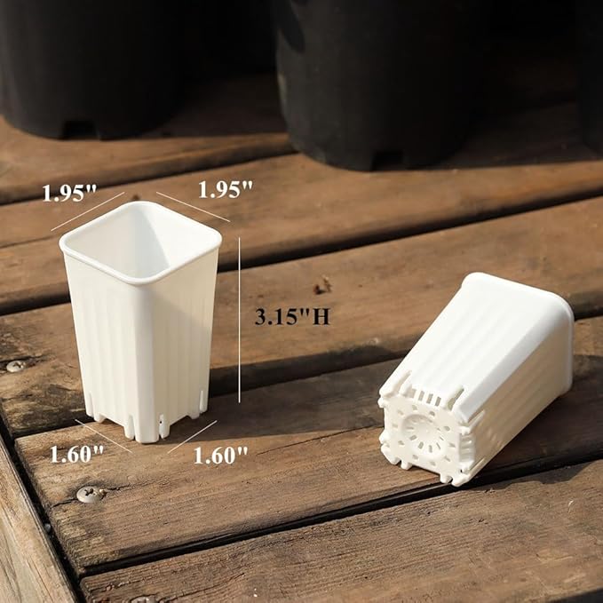 BangQiao 180 Pack 1.95 Inch Tiny White Plastic Square Nursery and Seedling Pot, Mini Deep Transplant Seed Starter Planter with Drain Hole for Germination, Herb, Succulent