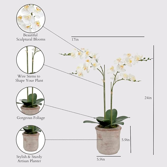 CG Hunter Faux Phale White Orchid Plant, Premium Artificial Indoor Flower Display Stands 24”, Beautiful Sculptural Blooms That Lasts Forever, Grey Planter Pot Included