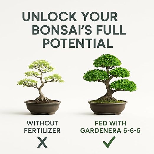 𝐁𝐄𝐒𝐓𝐒𝐄𝐋𝐋𝐄𝐑 Bonsai Fertilizer Pellets – Slow-Release Bonsai Tree Fertilizer & Food for Compact Growth, Dense Branching & Healthy Roots | Ideal for All Bonsai & Money Trees [12 OZ]