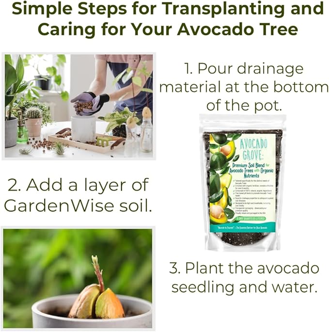 GARDENWISE Avocado Tree Soil – Premium Organic Potting Mix for Avocado Trees | Tailored pH & Organic Nutrients | Fast-Draining & Moisture-Retaining | Indoor & Outdoor Use (10 QUARTS)