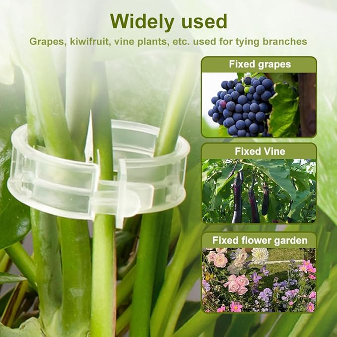 2026 Upgrade Thickened Secured Plastic Plant Clip,Reusable Plant Support Clips Fixing Clips for Climbing Plants,Garden Climbing Vines Fixing Clip for Tomato Grape Vine Flowers Vegetables (100, Black)