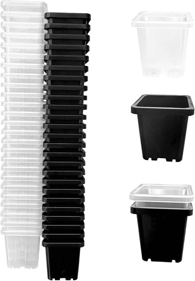 Gyfofix 2 Inch Square Plant Nursery Pots (Black+Clear),50Pcs Seedling Planter Seed Starter Pots,Sturdy Small Plastic Pots with Drainage Holes