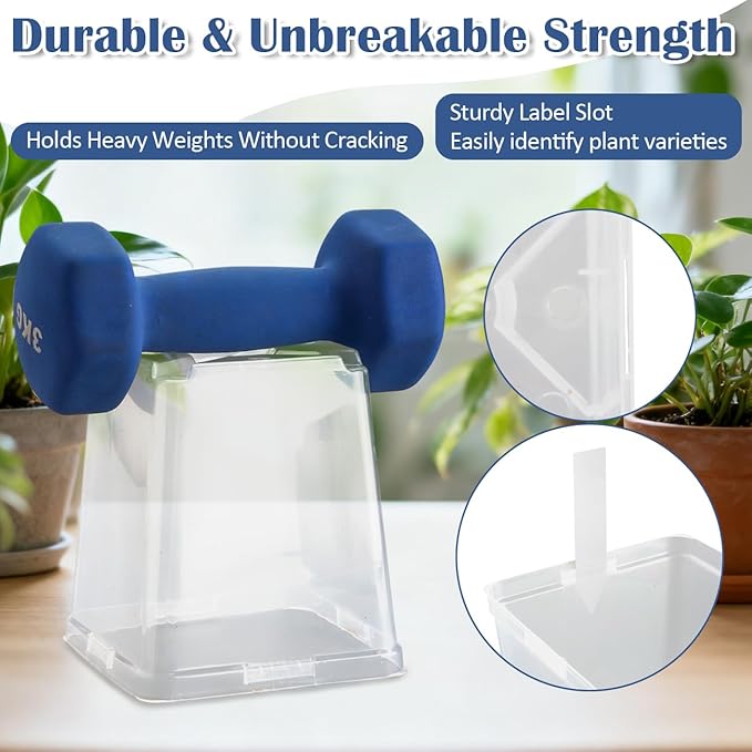 RooTrimmer 5.5 Inch Clear Square Nursery Pots with Drainage & Labels, 30Pcs Reusable Seed Starter Pots for Vegetables, Indoor Outdoor Gardening, Thick Transparent Plastic Plant Pots for Seed Starting