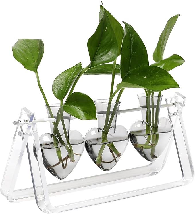 CYZglass Clear Plant Terrarium Propagation Stations with Acrylic Stand Birthday Gifts for Women Office Home Decor