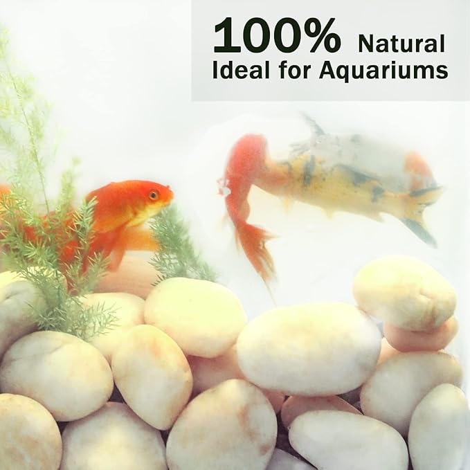 Ausluru 11LB Stones Pebbles River Rocks, 100% Natural Hand-Picked Premium Decorative Pebbles, Ideal for Garden Landscaping, Home Decor, Aquariums, Painting, Crafting and Gifts, Cream White