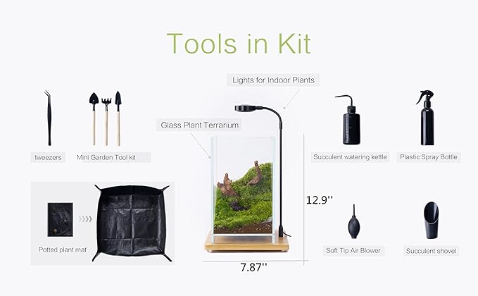 27 PCS Glass Plant Terrarium Kit with LED Grow Light– DIY Moss Terrarium Kit for Adults, Mini Garden Set for Succulent, Real Live Moss, and Air Plants – Home Office Decoration & Unique Gift fo Friend