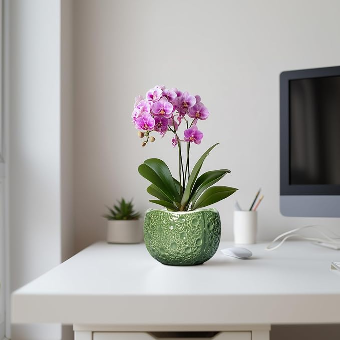Thirtypot 6 Inch Plant Pot - Orchid Pot with Drainage Hole, Ceramic Planter for Indoor Outdoor, Decorative Plant Pots, Modern Round Unique Flower Pots, Living Room Decor, Gifts for Women Men, Green