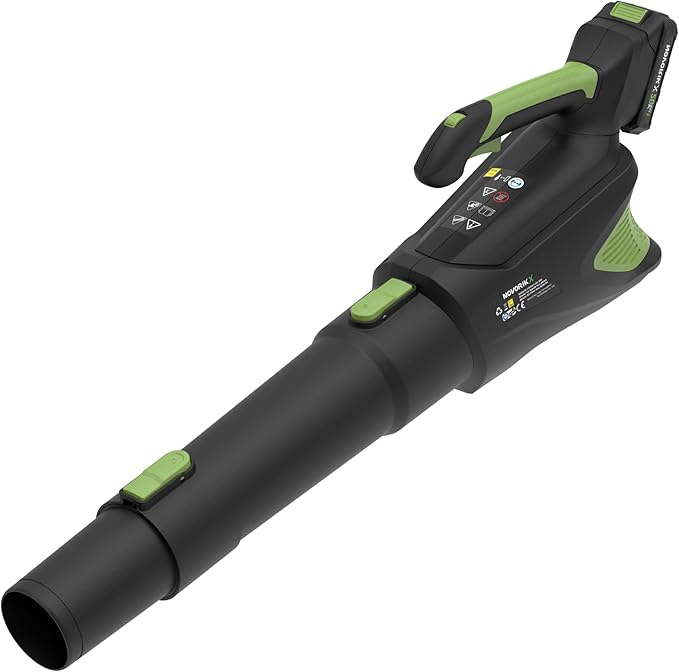 20V Handheld Electric Cordless Leaf Blower with 2.0Ah Battery & Fast Charger, Powerful up to 93 MPH, 350 CFM Stepless Speed Control, Powerful for Yard Cleaning