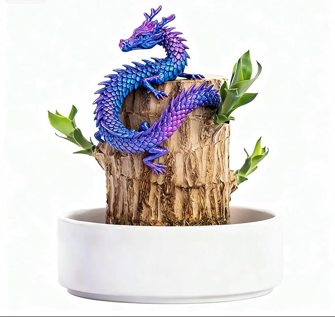 Brazilian Lucky Wood Live Plant | Easy Care Good Luck Indoor Decor | Beginner-Friendly (0-Failure Grow) | Fast Leaf-Growing Feng Shui Wealth Charm (Long)
