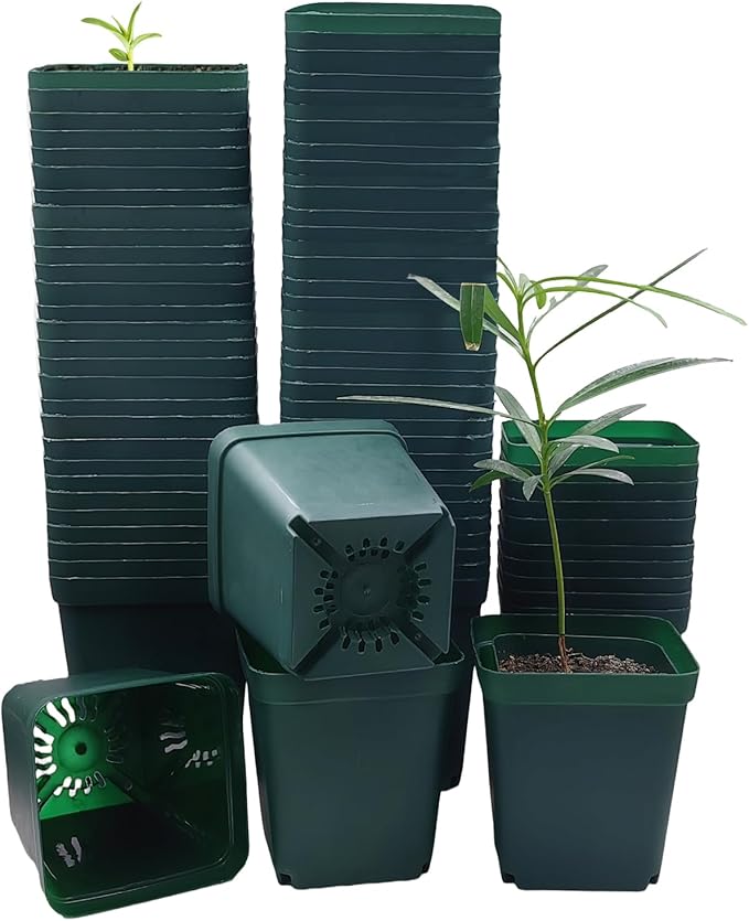 RooTrimmer Square Nursery Seedling Pot 3.5 Inches 90 Pcs, Small Nursery Pot Plastic Thick and Sturdy Seed Start Germination Pot for Plant Propagation and Seeding(Green,3.54 Inches, 90Pcs)