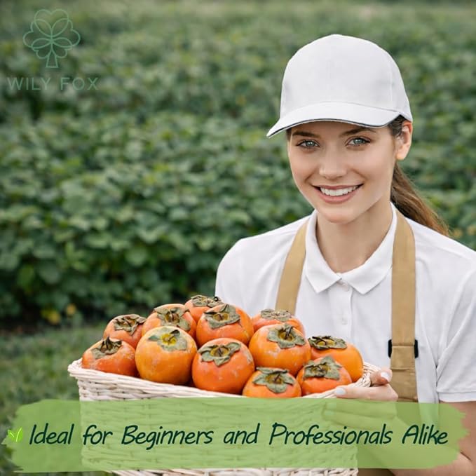 Persimmon Seeds for Planting – 35+ Heirloom Persimmon Tree Seeds for Home Garden, Fruit Tree Seeds for Backyard Orchard