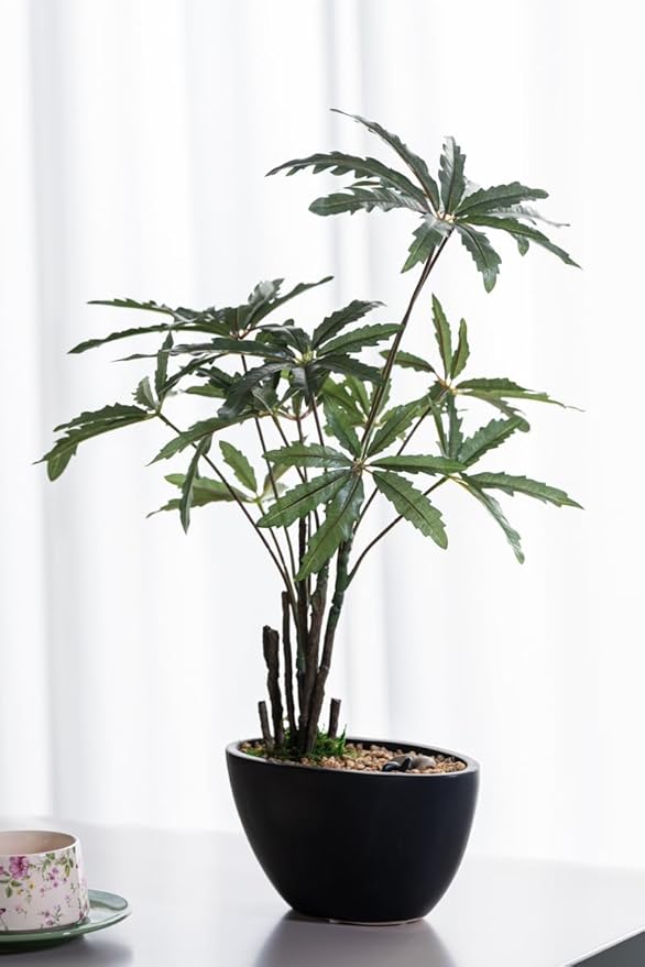 Avoeco Artificial False Aralia-21.2" Plant with Pebbles & Ceramic Pot – Realistic Faux Money Tree – Artificial Bonsai Tree for Home, Office, Boho, Modern,Minimalist & Japanese Decor (Black)