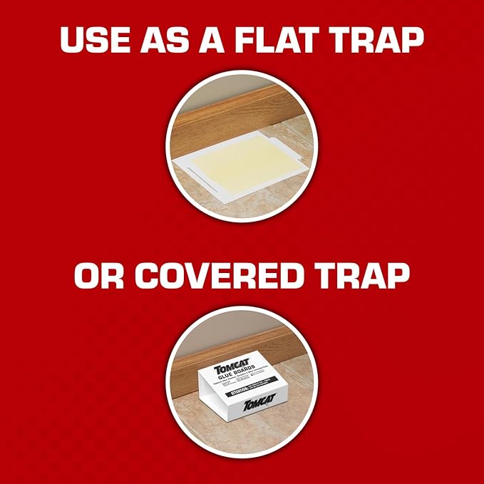 Tomcat Glue Boards with Eugenol — Enhanced Stickiness for Mice, Cockroaches & Insects, Flat or Covered Use, Ready-To-Use, 4 Traps