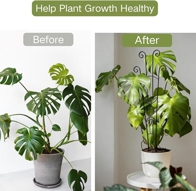 2 Pack Monstera Plant Support Stakes, 33in Metal Plant Trellis with Garden Twist Tie for Climbing Plants Indoor Outdoor Potted Tall Pothos Monstera