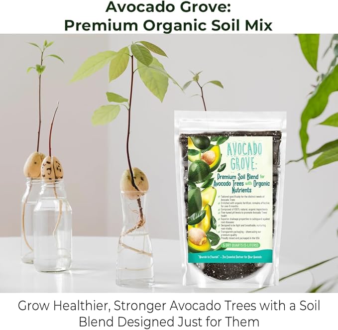 GARDENWISE Avocado Tree Soil – Premium Organic Potting Mix for Avocado Trees | Tailored pH & Organic Nutrients | Fast-Draining & Moisture-Retaining | Indoor & Outdoor Use (4 QUARTS)