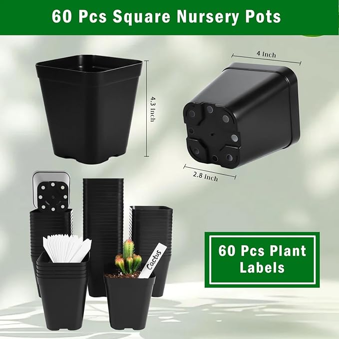 June Fox Plastic Seedling Pots, 60 Pack Square Nursery Pots 4 Inch, Small Plant Pots with Drainage Holes for Seedlings, Succulents, Cuttings (Black)