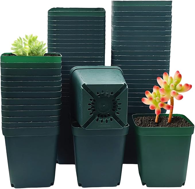 RooTrimmer Square Nursery Succulent Pots 4 Inches 60 Pcs Deep Flower Plant Nursery Seedling Grow Pots Plastic with Drainage (Green, 4Inches, 60Pcs)