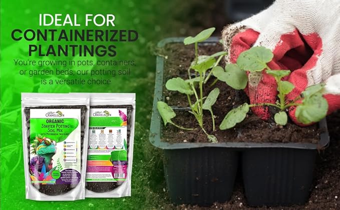 Organic Seed Starter Soil – Seed Starting Mix with Mycorrhizal Fungi – Natural Root Stimulator – Potting Soil for Vegetables and Herbs (2 QUARTS)